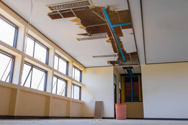 Best 24/7 water damage repair  in Eggertsville, NY