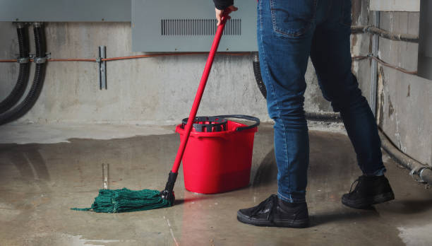 Best Mold removal after water damage  in Eggertsville, NY