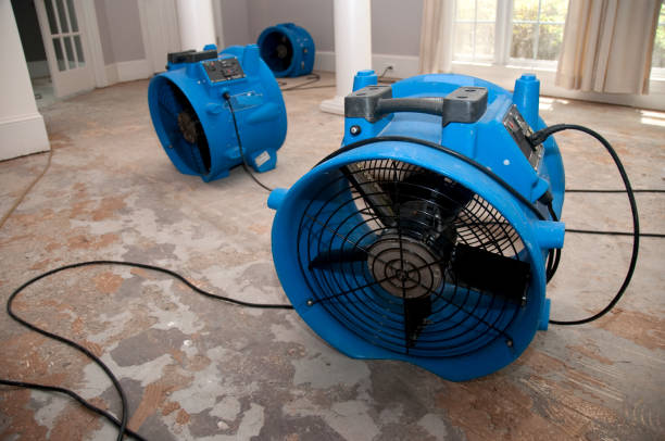 Best Professional water damage repair  in Eggertsville, NY