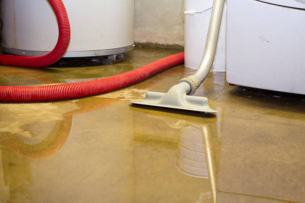 Best Flood restoration services  in Eggertsville, NY