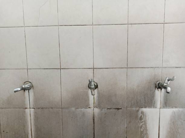 Best Water damage contractors near me  in Eggertsville, NY