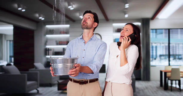 Best Flood damage cleanup  in Eggertsville, NY